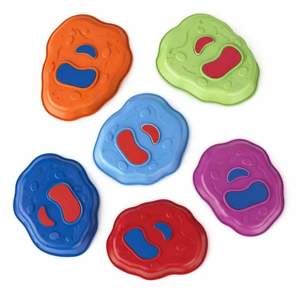 YR350295 Light up Musical Stepping Stones Dance Pad Plastic Education
